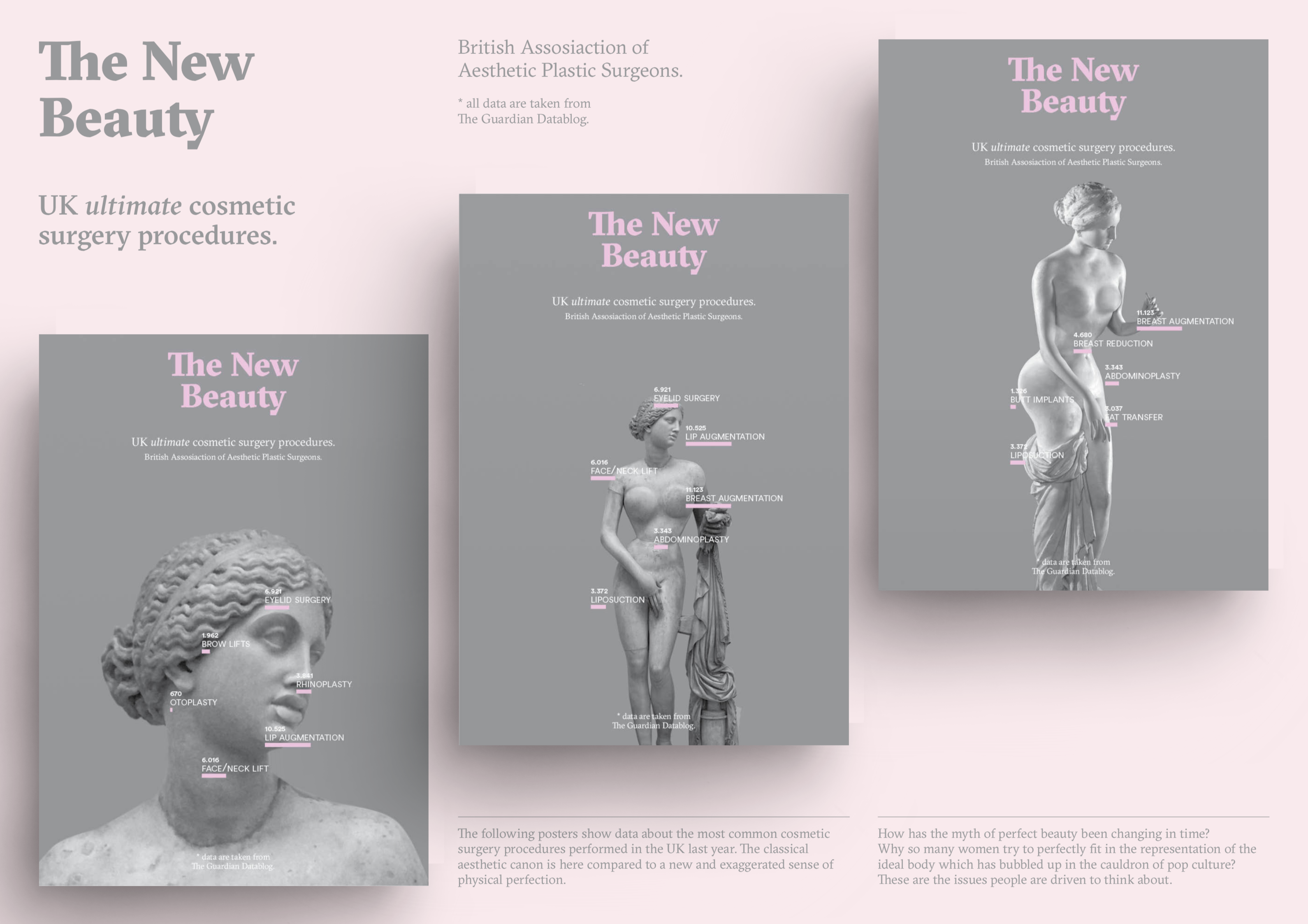 Complementary image of the project The New Beauty